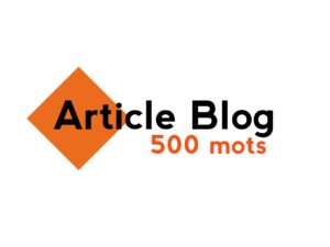 article blog de 500 mots